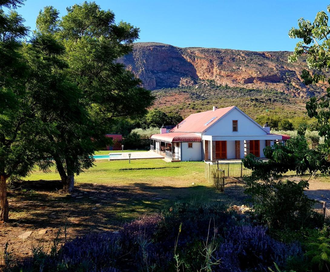 Baviaanskloof Landhuis Studtis Esterno foto